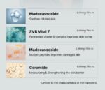 Asce Plus Sunshine Cushion Pro